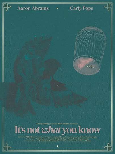 It's Not What You Know Poster