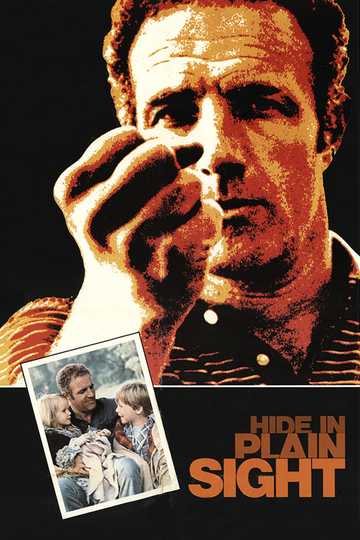 Hide in Plain Sight Poster