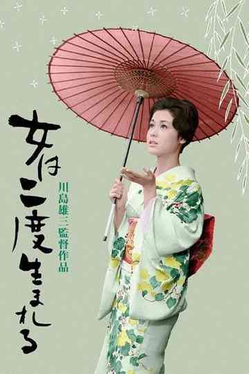 A Geisha's Diary Poster