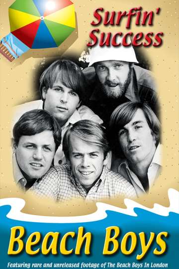 Beach Boys Surfin Success