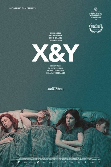 X&Y Poster