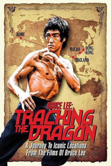 Bruce Lee Tracking the Dragon Poster