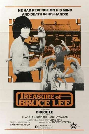 Treasure of Bruce Le Poster