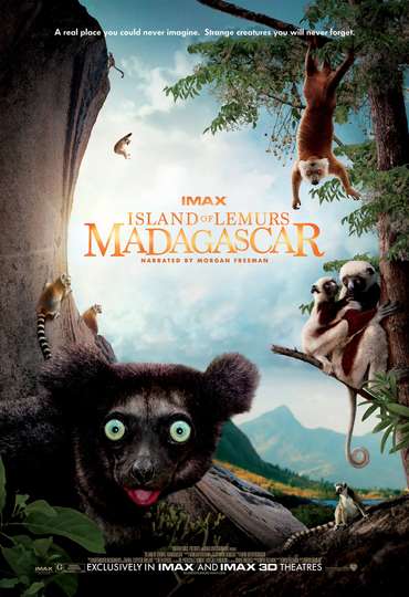 Madagascar Legends of Lemur Island
