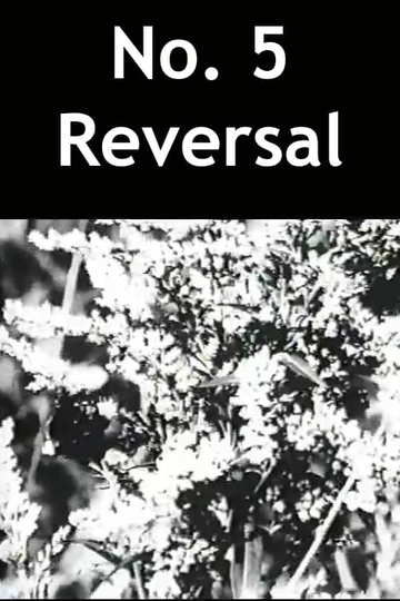 No. 5 Reversal Poster