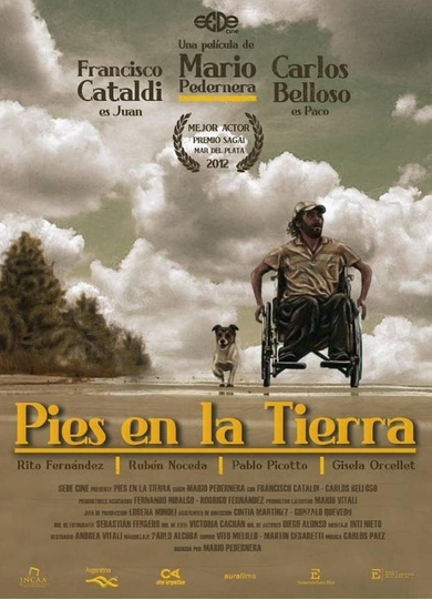 Pies en la tierra