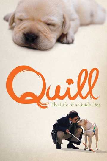 Quill: The Life of a Guide Dog Poster