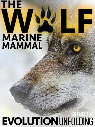 The Wolf Marine Mammal