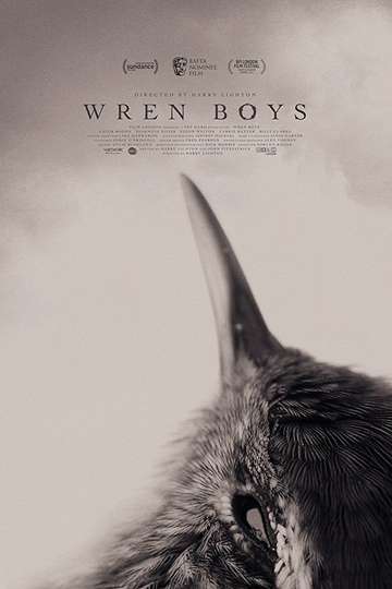 Wren Boys Poster