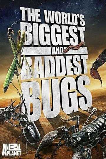 The Worlds Biggest and Baddest Bugs