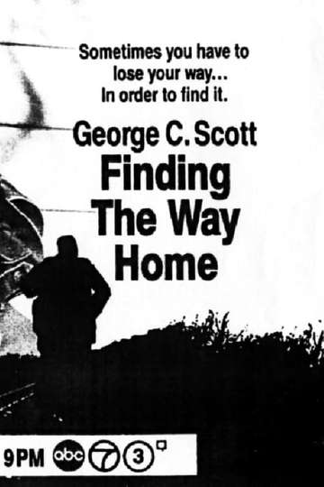 Finding the Way Home Poster