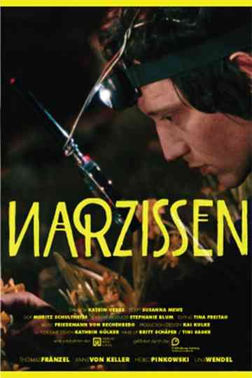 Narzissen Poster