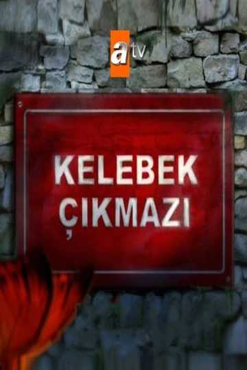 Kelebek Çıkmazı Poster