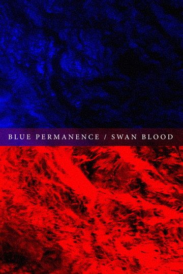 Blue Permanence  Swan Blood