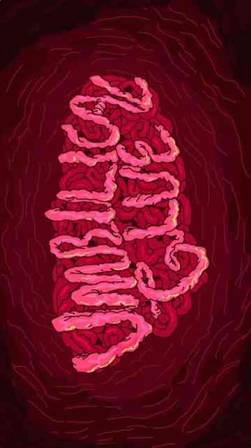 Umbilical Glue