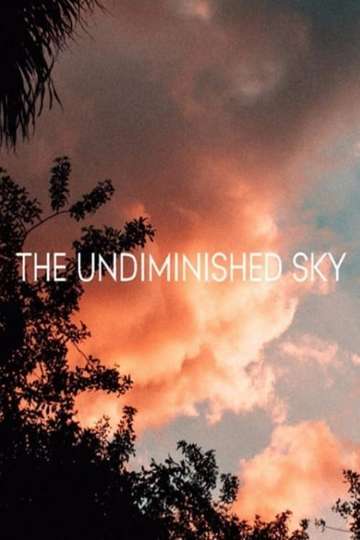 The Undiminished Sky Poster