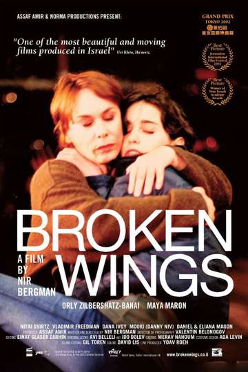 Broken Wings Poster