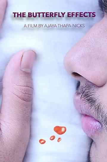 The Butterfly Effects Poster