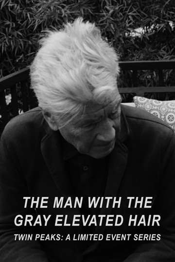 The Man with the Gray Elevated Hair Poster