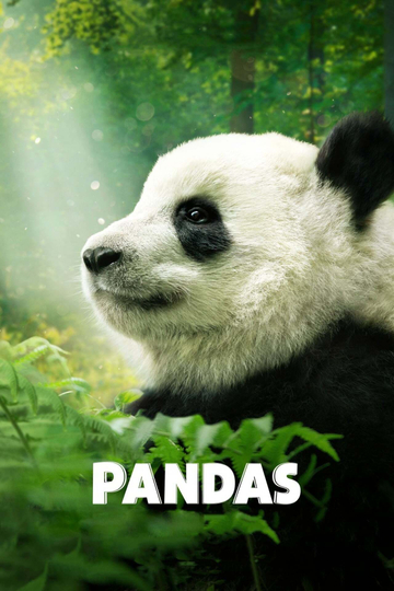 Pandas Poster