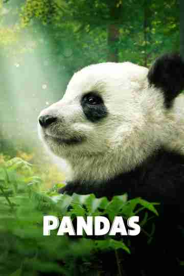 Pandas Poster