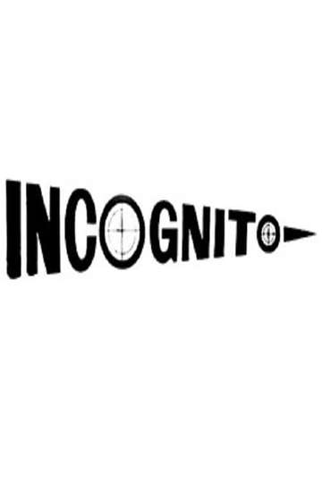 Incognito Poster