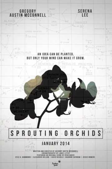 Sprouting Orchids