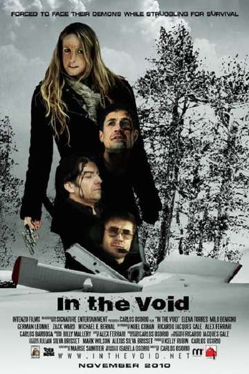 In the Void Poster