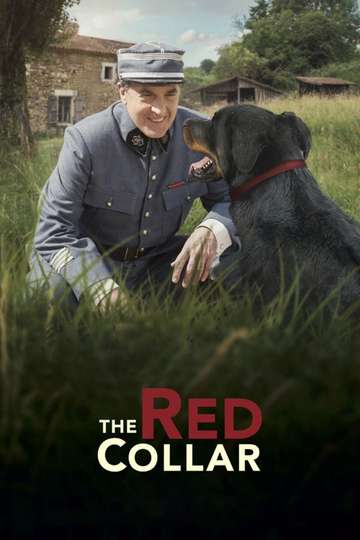 The Red Collar Poster