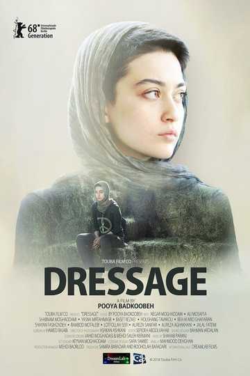 Dressage Poster
