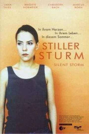 Silent Storm Poster