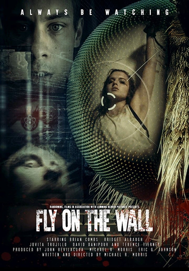 Fly on the Wall Poster