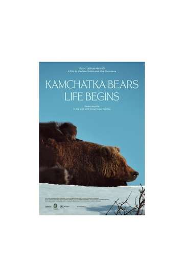 Kamchatka Bears Life Begins