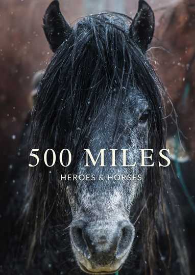 500 Miles  The Story of Ranchers and Horses