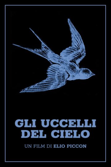 Gli uccelli del cielo