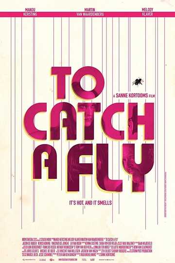 To Catch a Fly Poster