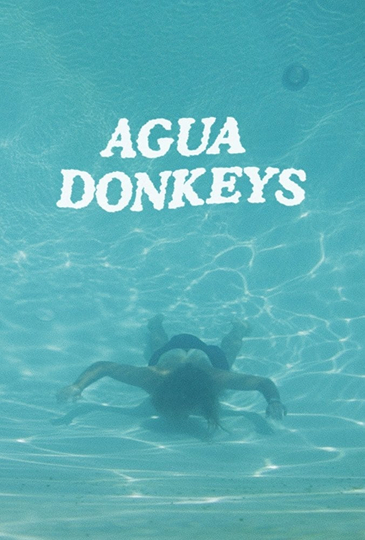 Agua Donkeys