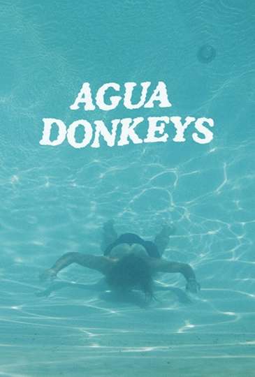 Agua Donkeys Poster