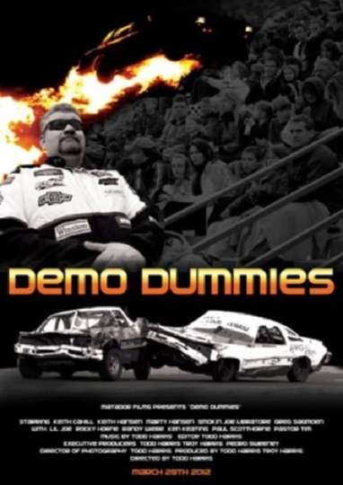 Demo Dummies Poster