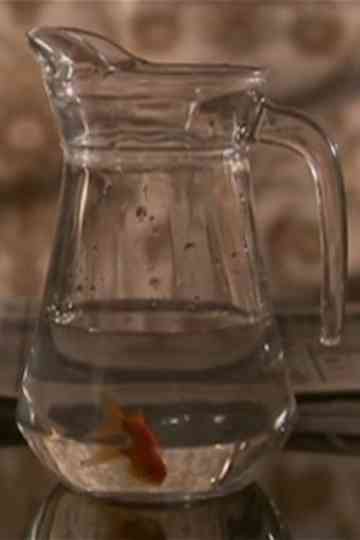 Un Si Petite Distance Poster