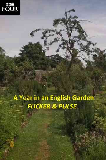 Flicker  Pulse