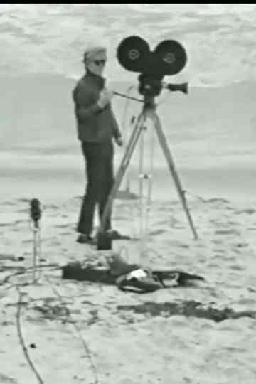 Andy Makes a Movie Poster