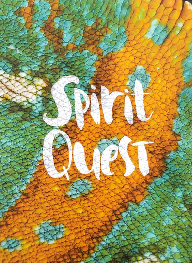 Spirit Quest Poster