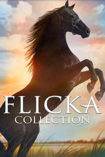 Flicka Collection Poster