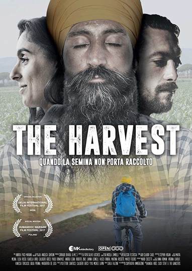 The Harvest