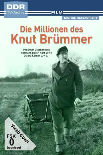 Die Millionen des Knut Brümmer