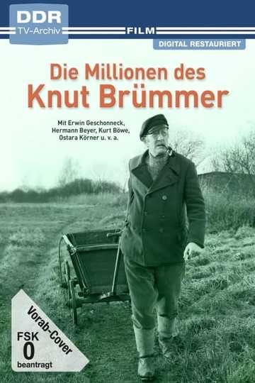 Die Millionen des Knut Brümmer