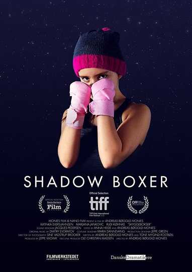 Shadow Boxer