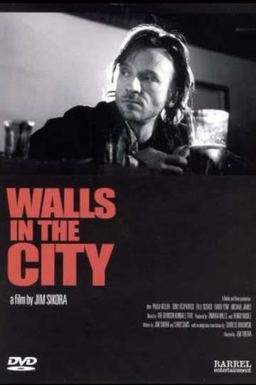 Walls in the City Poster