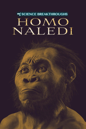 Homo naledi